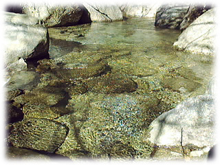 水面
